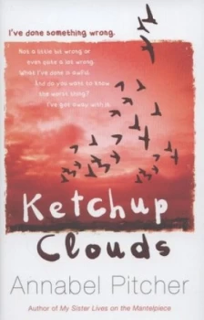 Image of Ketchup Clouds by Annabel Pitcher Hardback