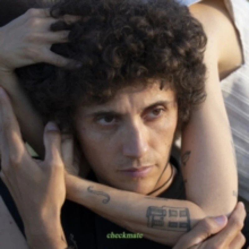 Image of Ron Gallo Checkmate (Vinyl) 12 Album Coloured Vinyl (Limited Edition)
