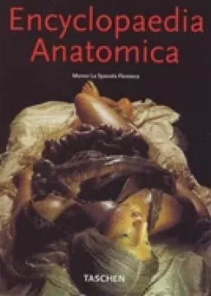 Image of encyclopedia anatomica museo la specola florence a complete collection of a