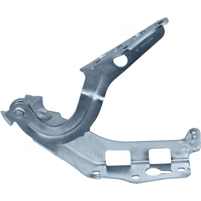 Image of Hinge, bonnet DIEDERICHS 1673019