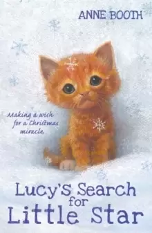 Image of Lucy's Search for Little Star