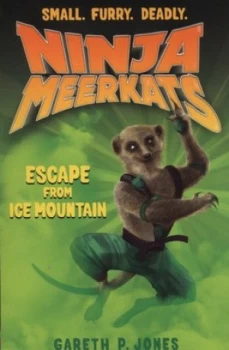 Image of Escape from Ice Mountain by Gareth P. Jones Book