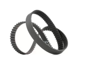 GATES Timing Belt RENAULT,FIAT,PEUGEOT 5335XS 0816A3,500323627,98415921 Cam Belt,Toothed Belt 500323627,98415921,0816A3,5000293612,5001847819