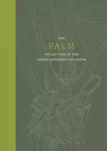 Image of The Palm : Collection at the Jardin Botanico Culiacan