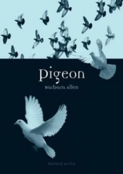 Image of Pigeon by Barbara Allen Paperback