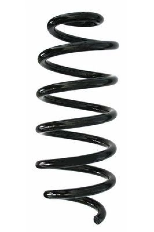 Image of Coil spring SPIDAN 87881