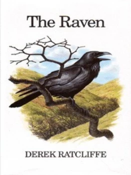 Image of The Raven by Derek Ratcliffe Hardback