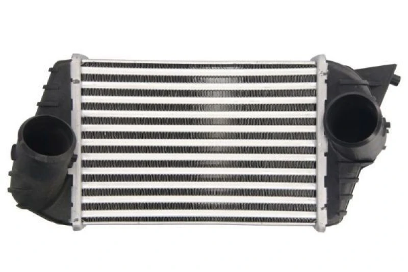 Image of THERMOTEC Intercooler THERMOTEC DAF009TT