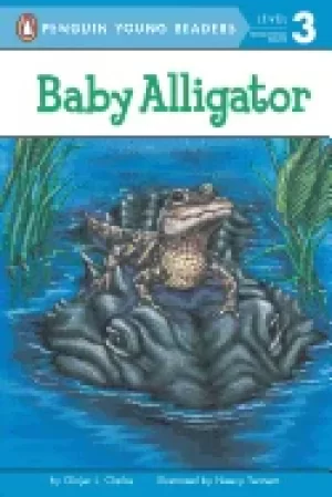 Image of baby alligator