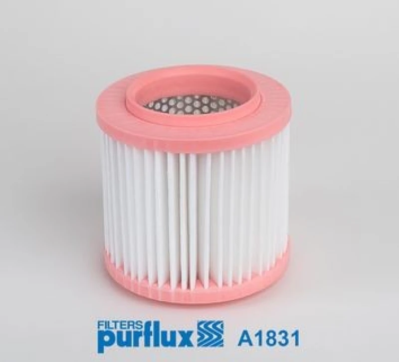 Image of Air filter PURFLUX A1831