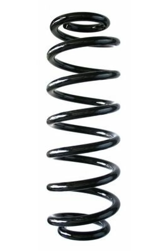 Image of Coil spring SPIDAN 87350