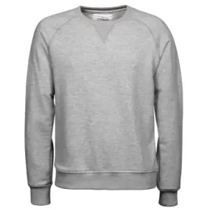 Image of Tee Jays Mens Urban Sweatshirt (2XL) (Heather Grey)