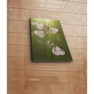 Image of 3040C-13 Multicolor Decorative Canvas Painting