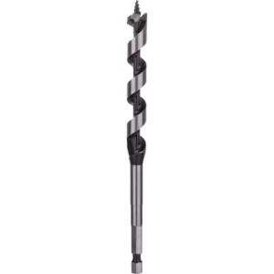 Image of 2608585699 12X100X160Mm Auger Bit With Hexagon Shank