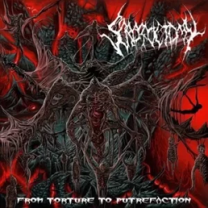 Image of From Torture to Putrefaction by Scrotoctomy CD Album