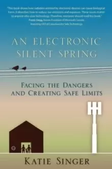 Image of An Electronic Silent Spring : Facing the Dangers and Creating Safe Limits