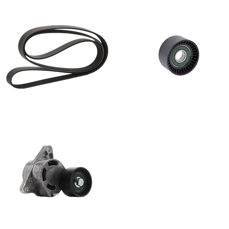 Image of goCORE GCE420029 V-ribbed belt set V-Ribbed Belt Set (542)