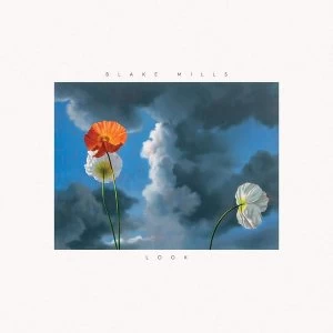 Image of Blake Mills - Look Vinyl