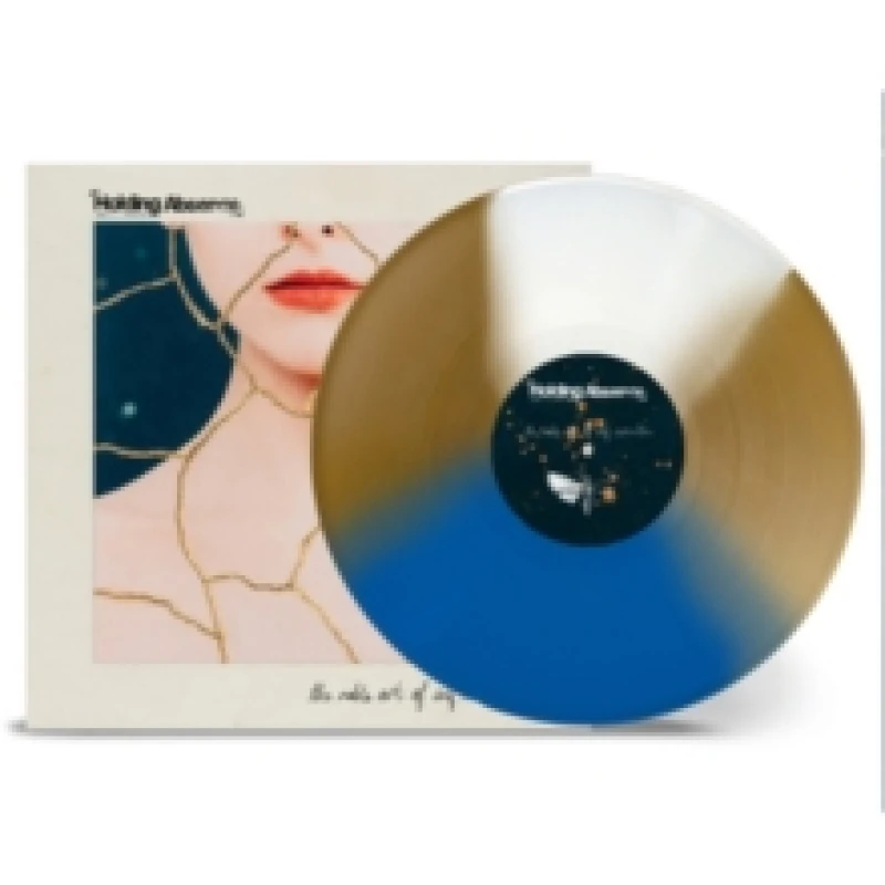 Image of The Noble Art of Self Destruction Vinyl