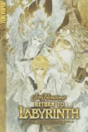 Image of return to labyrinth volume 2