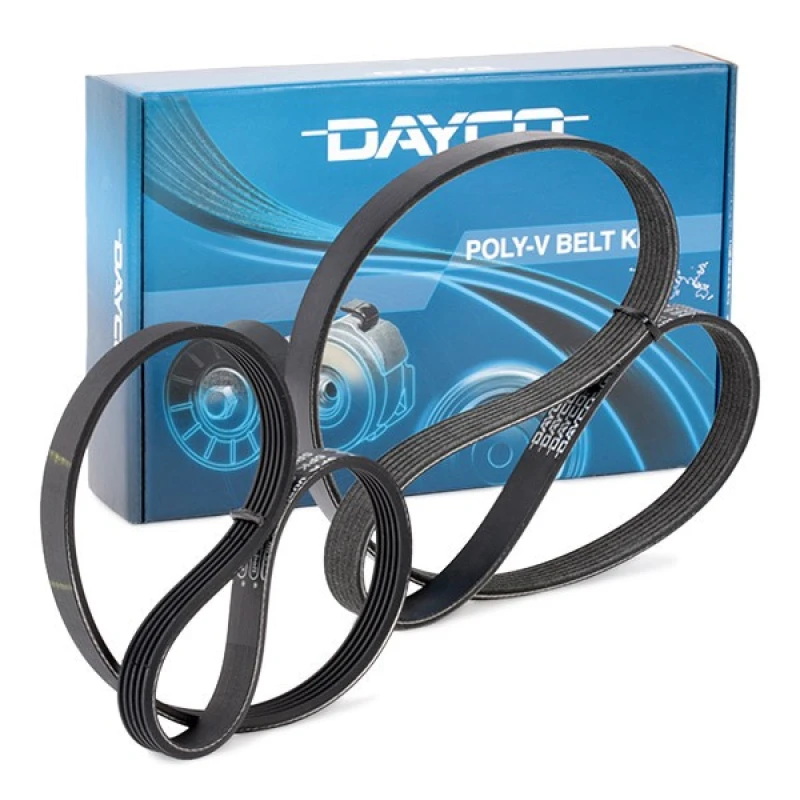 Image of DAYCO PVE003 V-ribbed belt set V-Ribbed Belt Set (542)