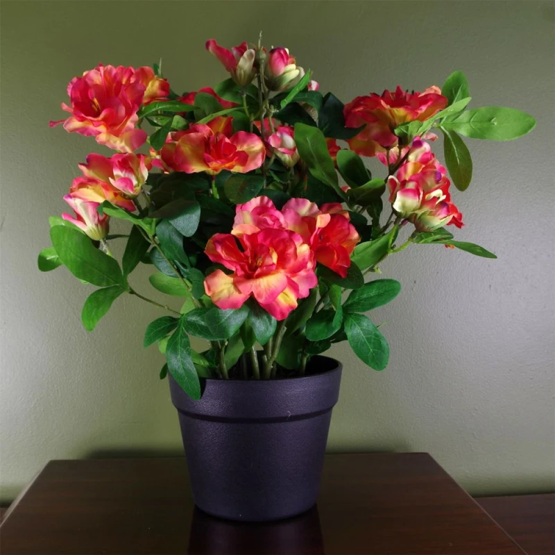 Image of Leaf Artificial Rhododendron Flowering Plant Orange Orange