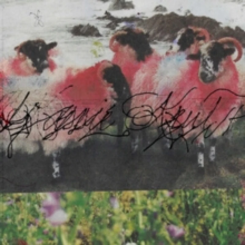 Image of Kassie Krut (Deluxe Edition) Vinyl