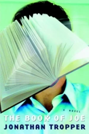 Image of The book of Joe by Jonathan Tropper