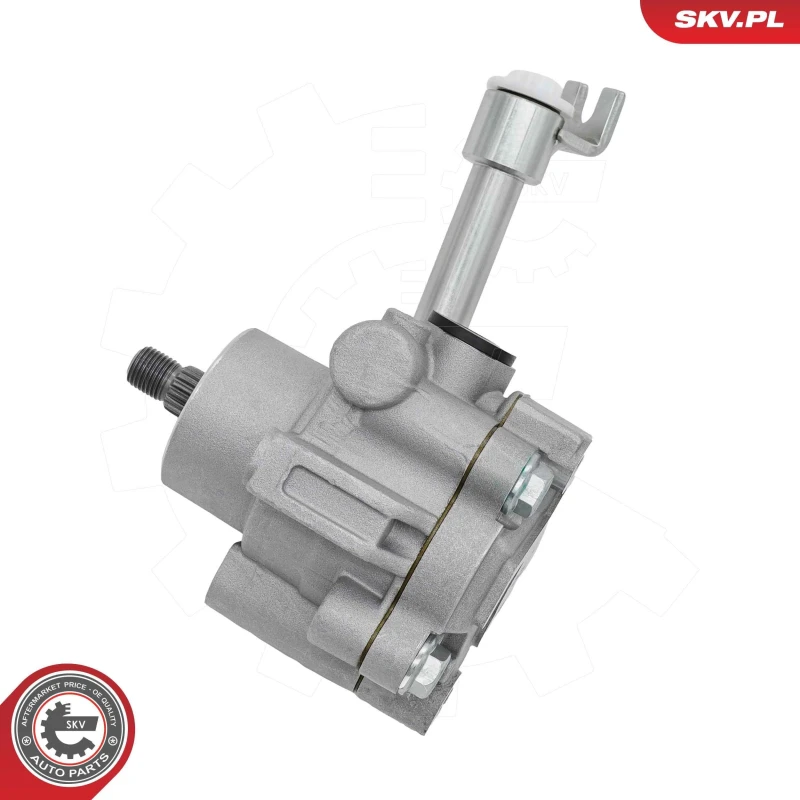 Image of ESEN SKV Power steering pump ESEN SKV 10SKV328