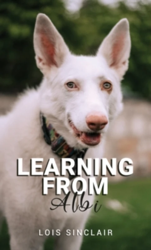 Image of Learning from Albi. Paperback. By Lois Sinclair Books