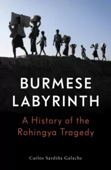 Image of The Burmese Labyrinth
