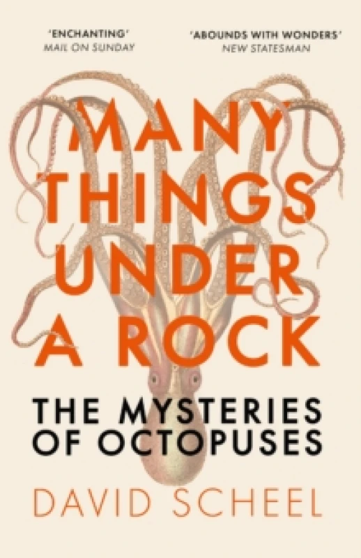 Image of Many Things Under a Rock. Paperback. By David Scheel Books