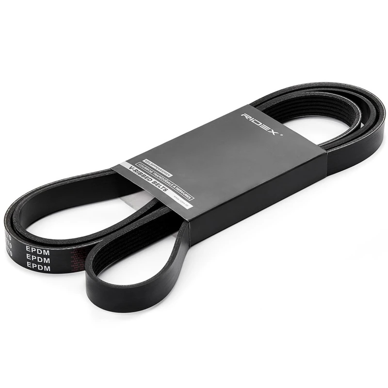 Image of RIDEX 305P0248 V-ribbed belt Rubber V-Ribbed Belts (305)