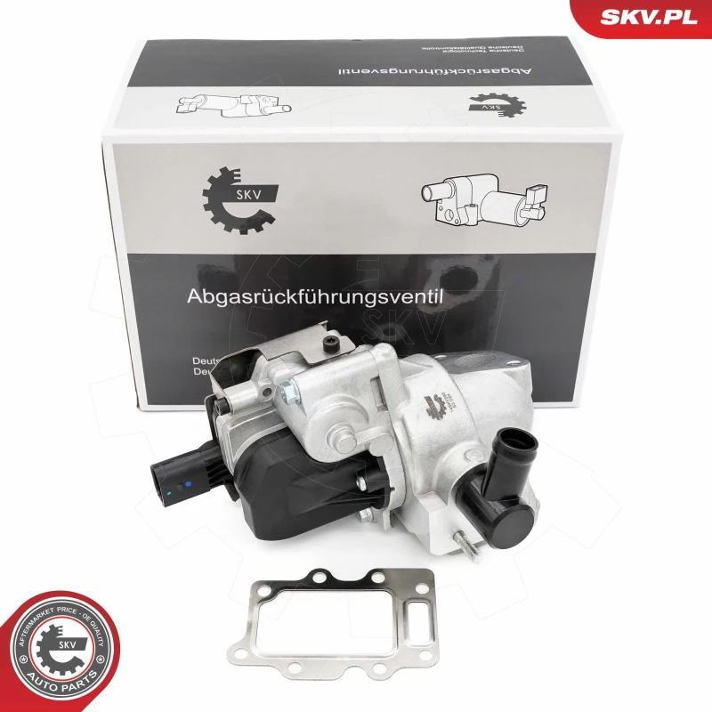 Image of ESEN SKV EGR valve ESEN SKV 14SKV280