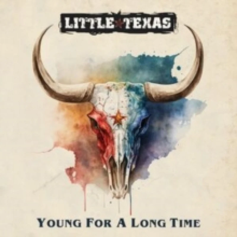 Image of Young for a Long Time Vinyl