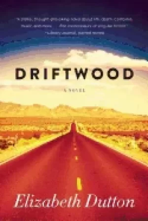 Image of driftwood a novel