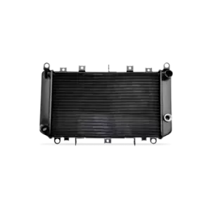 image of DENSO Engine radiator OPEL,VAUXHALL DRM20019 1300377,13486481 Radiator, engine cooling,Radiator,Engine cooler