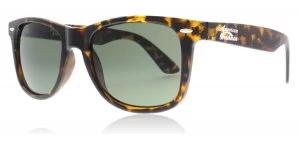 Image of American Freshman Blake Sunglasses Tortoise TORT 55mm