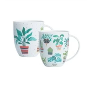 image of Price & Kensington China Mug Plants