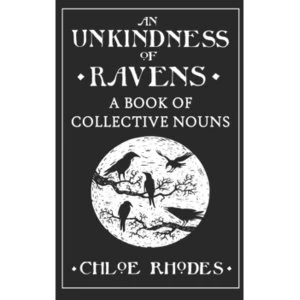 Image of An Unkindness of Ravens by Chloe Rhodes Hardback