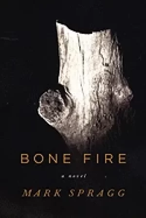 Image of bone fire a novel