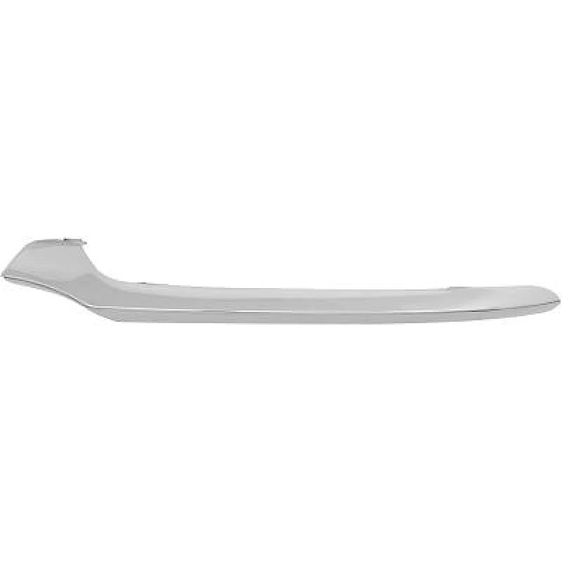 Image of Bumper moulding DIEDERICHS 1673165