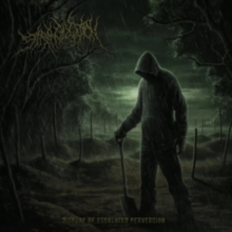 Image of Display of escalated perversion CD / Album