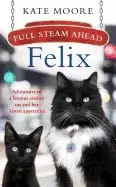 Image of felix full steam ahead