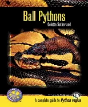 Image of ball pythons
