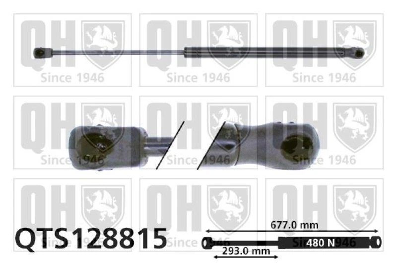 Image of QUINTON HAZELL Tailgate strut QUINTON HAZELL QTS128815