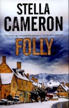 Image of Folly by Stella Cameron Hardback