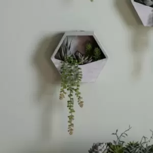 Image of Crossland Grove Wall Planter With Agave Succulent Mix H380Mm