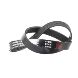 Image of RIDEX V-ribbed belt VW,AUDI,RENAULT 305P0048 98487322,7700749393,06F903137E 06F903137E,06F903137E