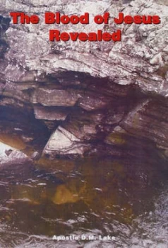 Image of The Blood of Jesus Revealed by D. M Lake Paperback